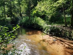 Tour des châteaux felkenstein