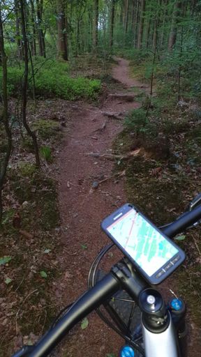 Boom Wortels Rammen (BWR)