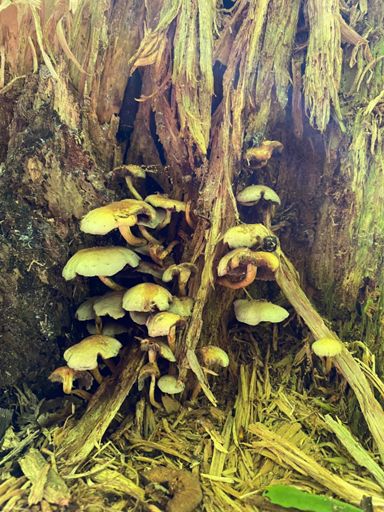 That’s lunch sorted 😜