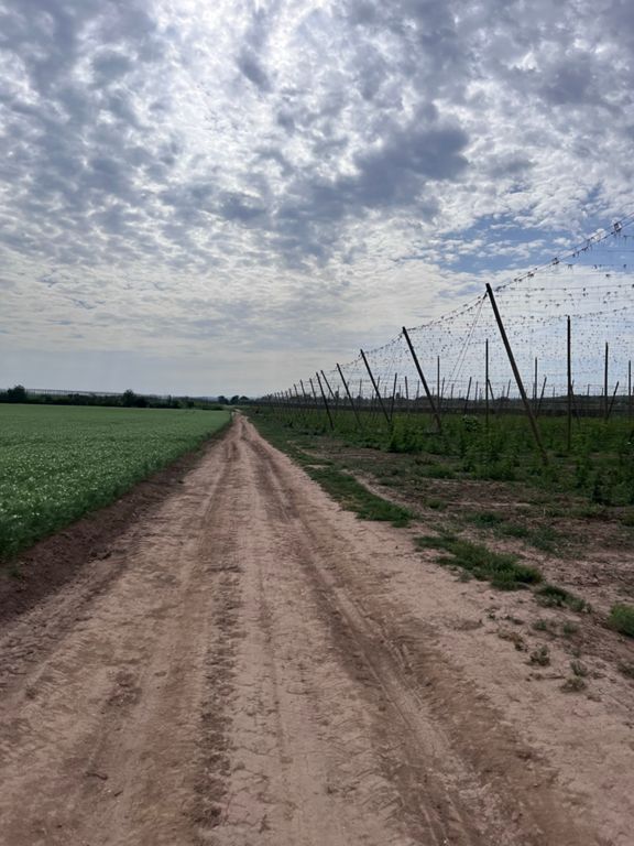 Gravel ride to Prague photo 4