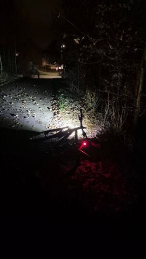 Radweg in Wüstenbrand