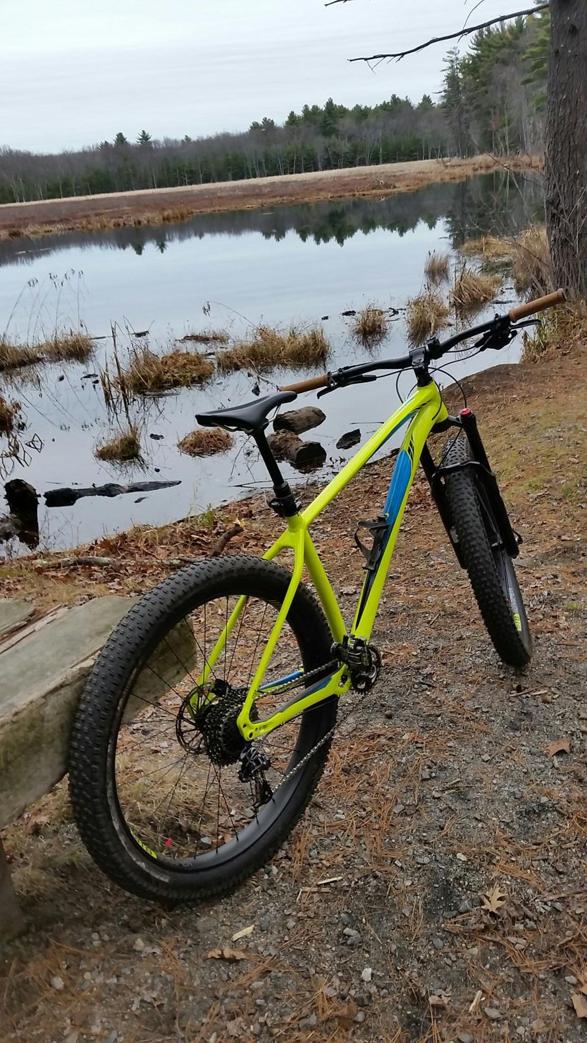 strava 自行车手的个人档案 | carlo t.