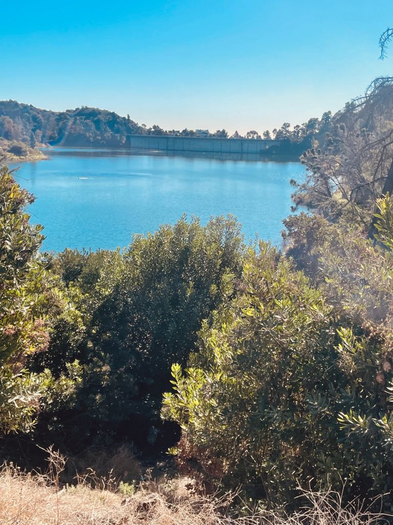 NBB run - Lake Hollywood photo 7