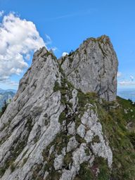Chöpfenberg Tierberg