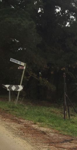 A little bit of mountain road