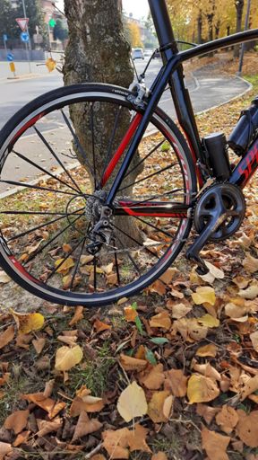 Questa mattina pulito bici nei minimi dettagli.