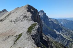 Tête de Lapras et la Cavale par le Nid