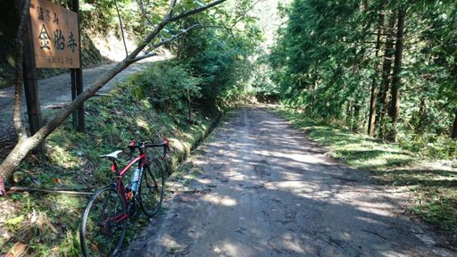 金胎寺まで倒木苔枯れ葉でトラクション⤵