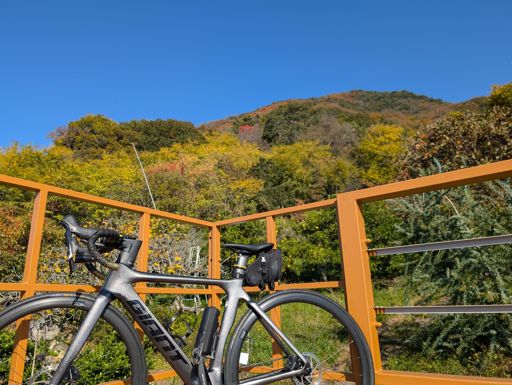 晴天と紅葉と俺のチャリ🚲️
