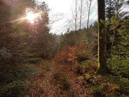 Petite trotte afterwork