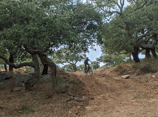 Retín, Bajada por cortafuegos