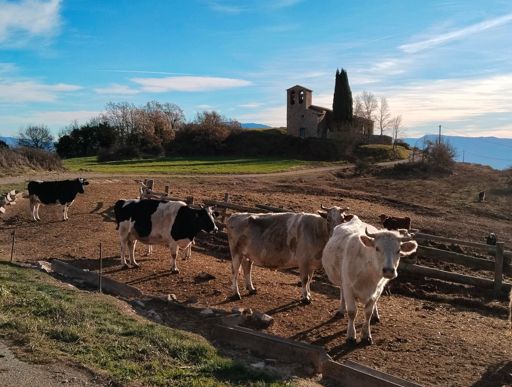 Sant Cugat de Gavadons