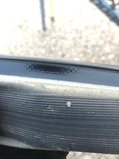 That bloody little bastard…🤬🤬🤬