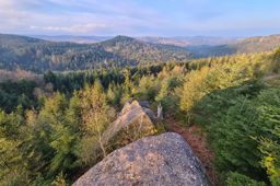 Un autre côté de Todlaine