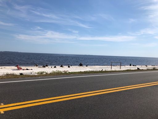 Fun cedar swamp like tree roots in the sand.