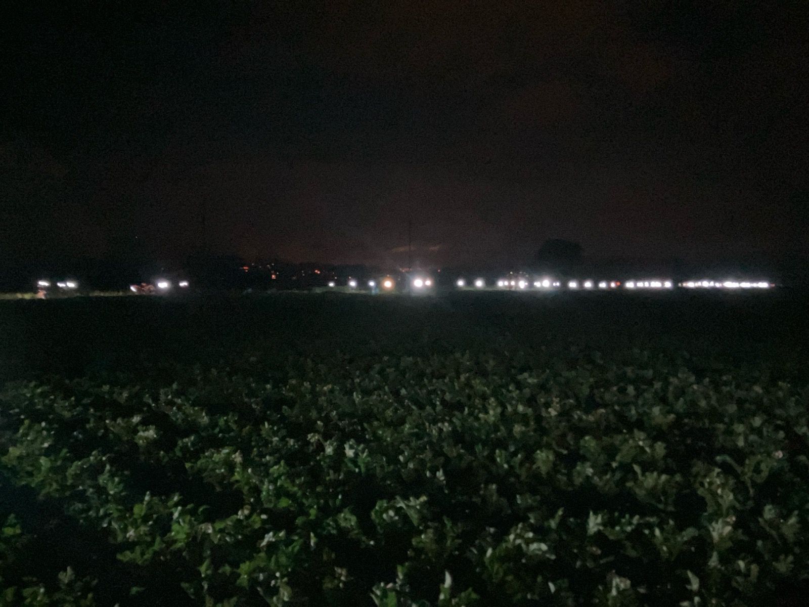 bei 15KM…🏃‍♂️..