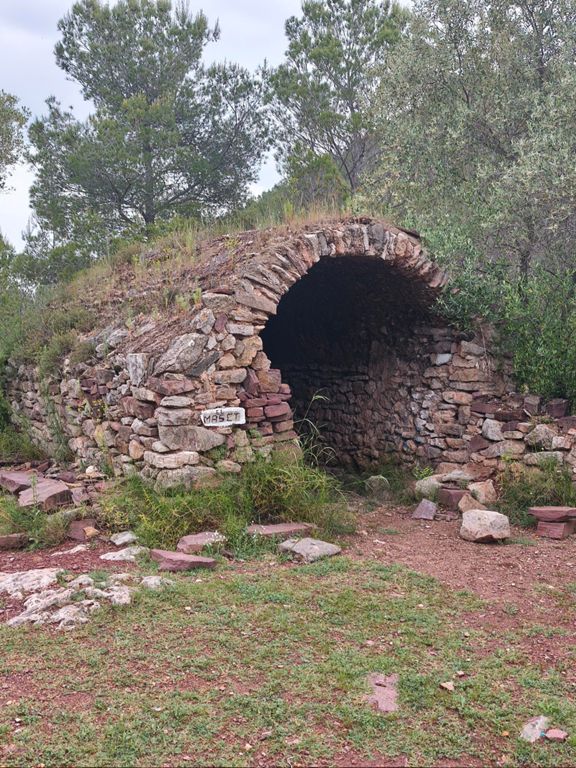 Minas