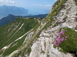 Leysin rando ferrata