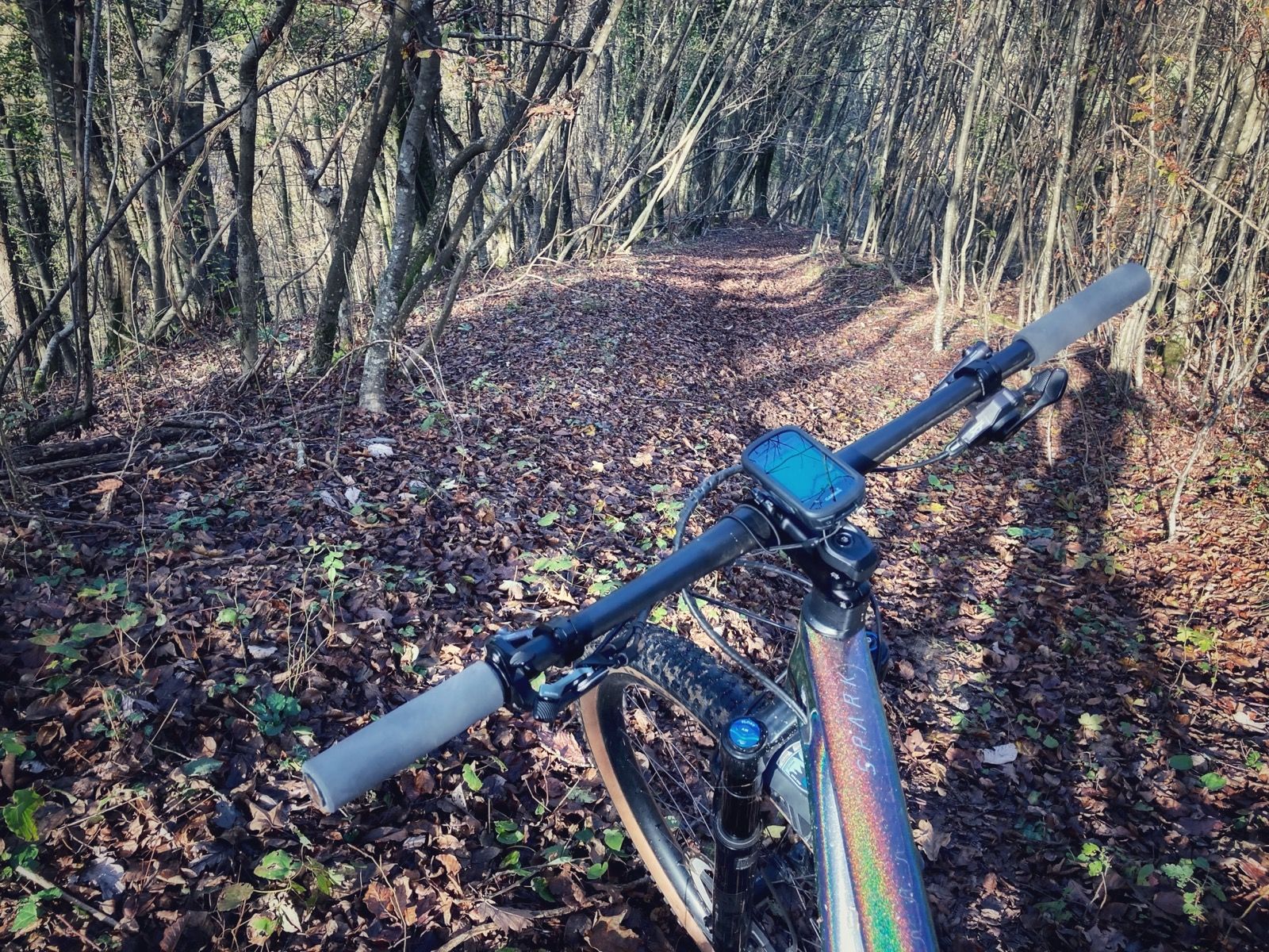 Ride Image 4