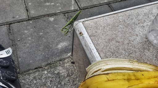 King Kong like my Banana!