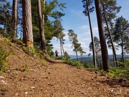 Trotte dans le Kemberg