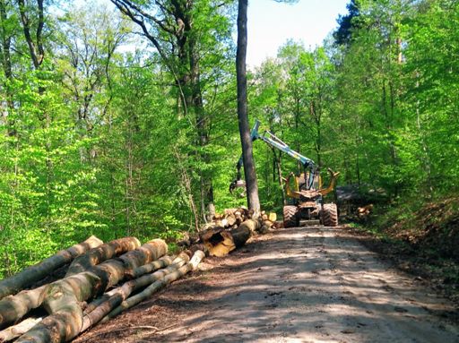 Usually they barricade the roads when they're working. Not today