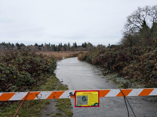 Bring your water wings..!