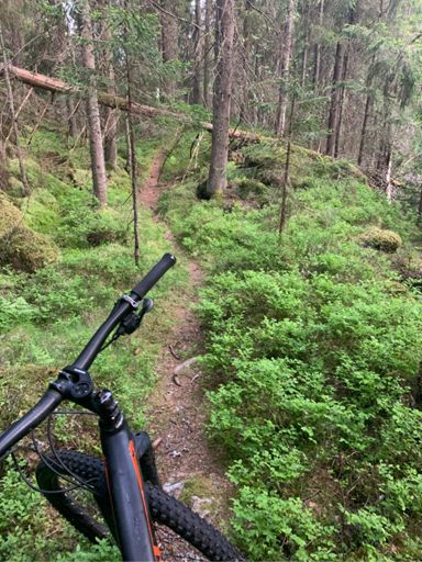 Ned mot dalen øst for Barlindåsen.Styggedalen