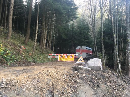 na toll, freude herrscht, wieder zurück, und neuen weg suchen