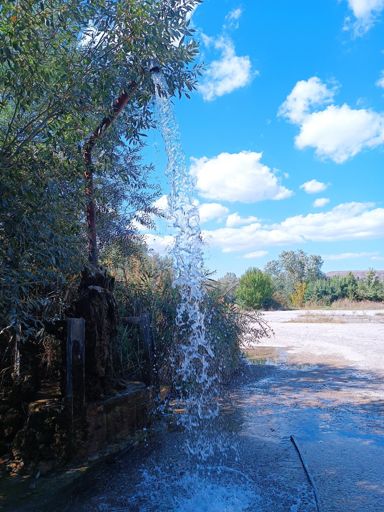 Душ за кукукулуездачи