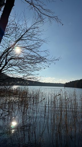 Impressionen vom Liepnitzsee an diesem sonnigen ersten meteorologischen Frühlingstag.