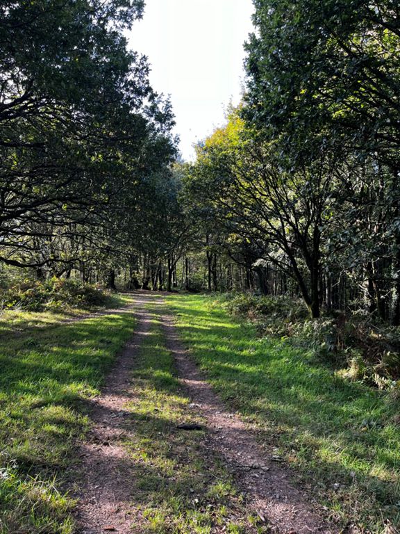 route-highlight