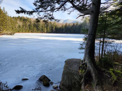 Black Pond...#FakeNews