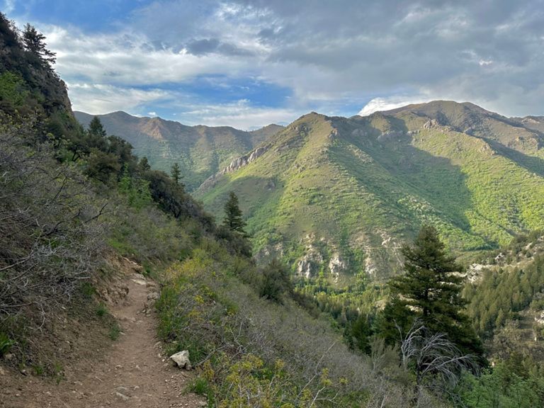 Desolation Overlook photo 3