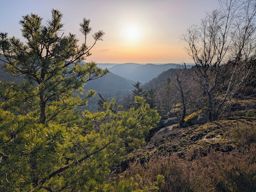 Pierre-piquée Derzognier