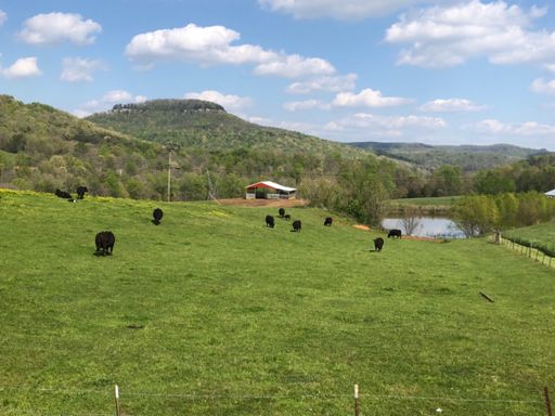 Amazing hollows in KY and TN