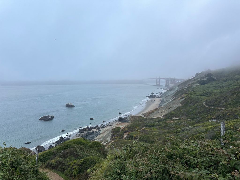 Butterlap (Presidio & Golden Gate Park) photo 70