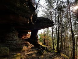 Entre roches et ruines autour d’Obensteinbach