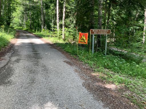 Route Forestière des Croisettes, op weg naar de Col du Mont Noir: prima boswerken, prima wegdek. Net als de RF de Prélétang ervoor.