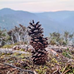 Sortie à vélo matinale