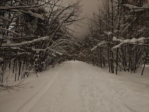 Начало "дикой" части. Теперь тут не так уютно