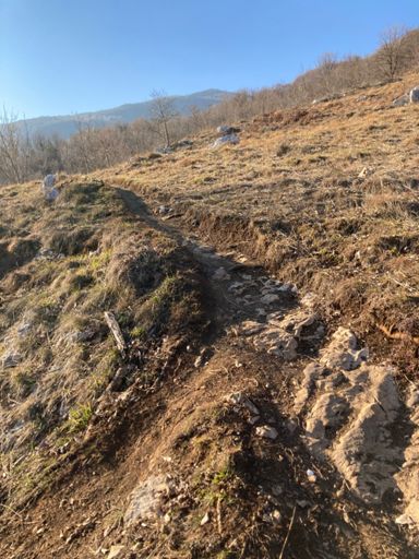 fine 'troi del ceppo'