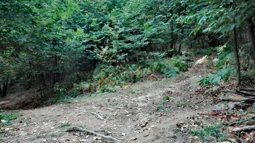 4 strade ...quale prendere!!! Di solito quella che sale é quella giusta 😰