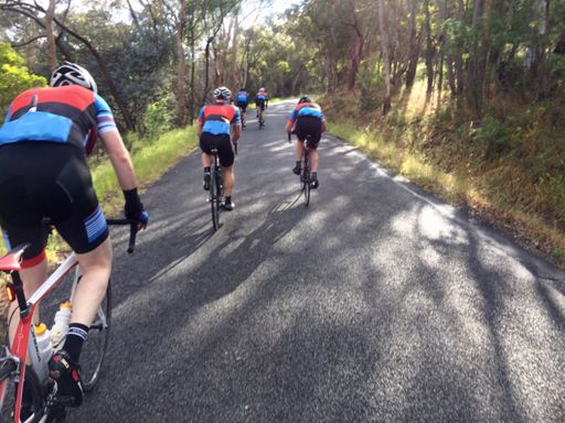 Shedding 5kgs; steel to carbon.