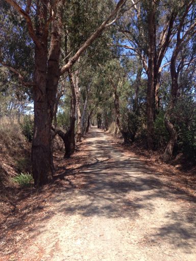 Great Vic Rail Trail 👌