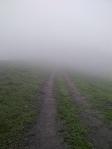 San Pablo Ridge Trail, heading off into the fog. There is a climb just ahead, even if you can't see it!