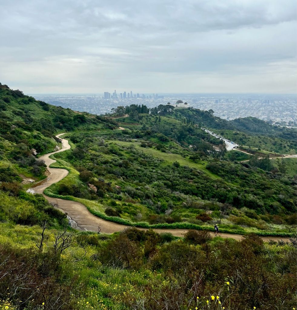 NBB run - Lake Hollywood: фото 56