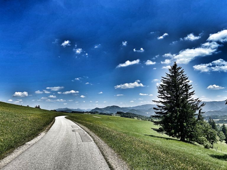 route-highlight