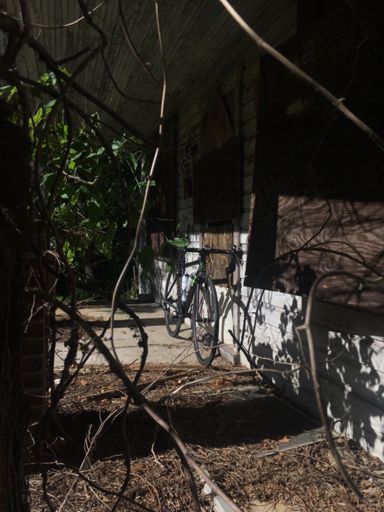 This is starting to get spooky