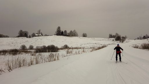 Дорога Никольское - Дубровицы. На холме видна деревня Соболево.